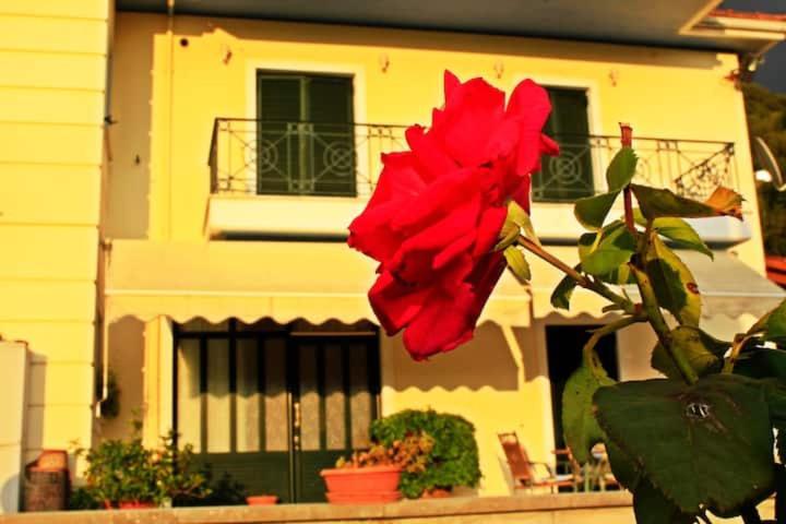 Guesthouse Bizani Neo Mpizani 外观 照片